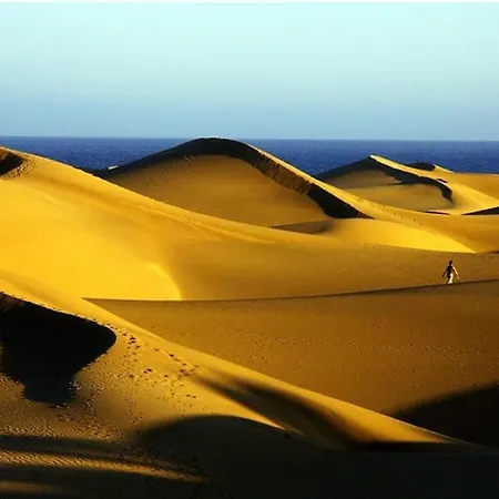 Pink 430 By Casas Cocodrilo *