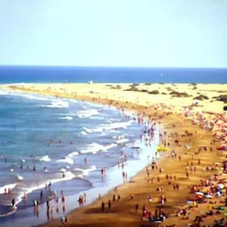 Pink 430 By Casas Cocodrilo