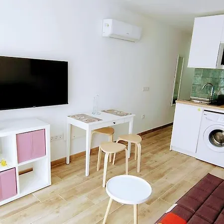 Pink 430 By Casas Cocodrilo