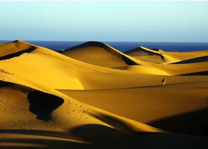 Pink 430 By Casas Cocodrilo *