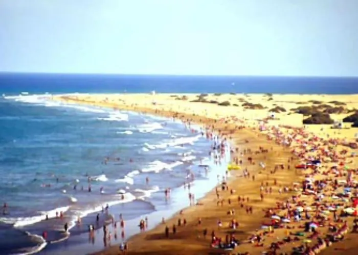 Pink 430 By Casas Cocodrilo