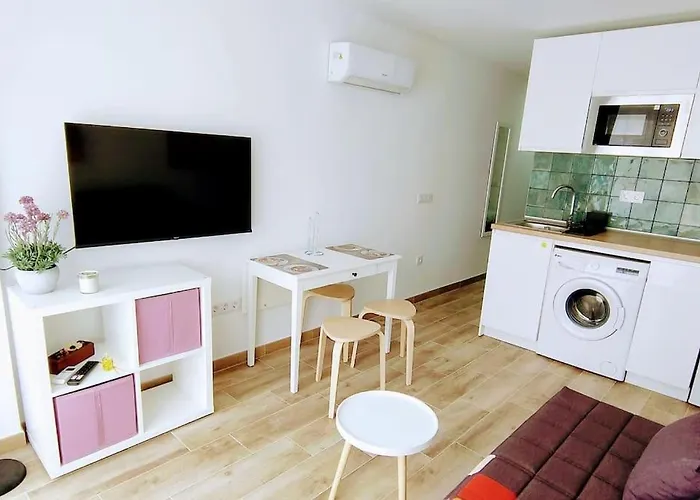 Pink 430 By Casas Cocodrilo